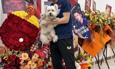 开云体育APP下载-法国乒乓球队险胜比利时乒乓球队，张继科绝境逆转的简单介绍