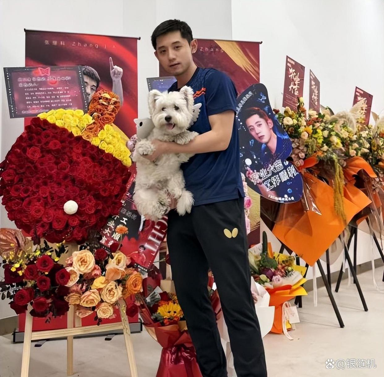 法国乒乓球队险胜比利时乒乓球队，张继科绝境逆转的简单介绍