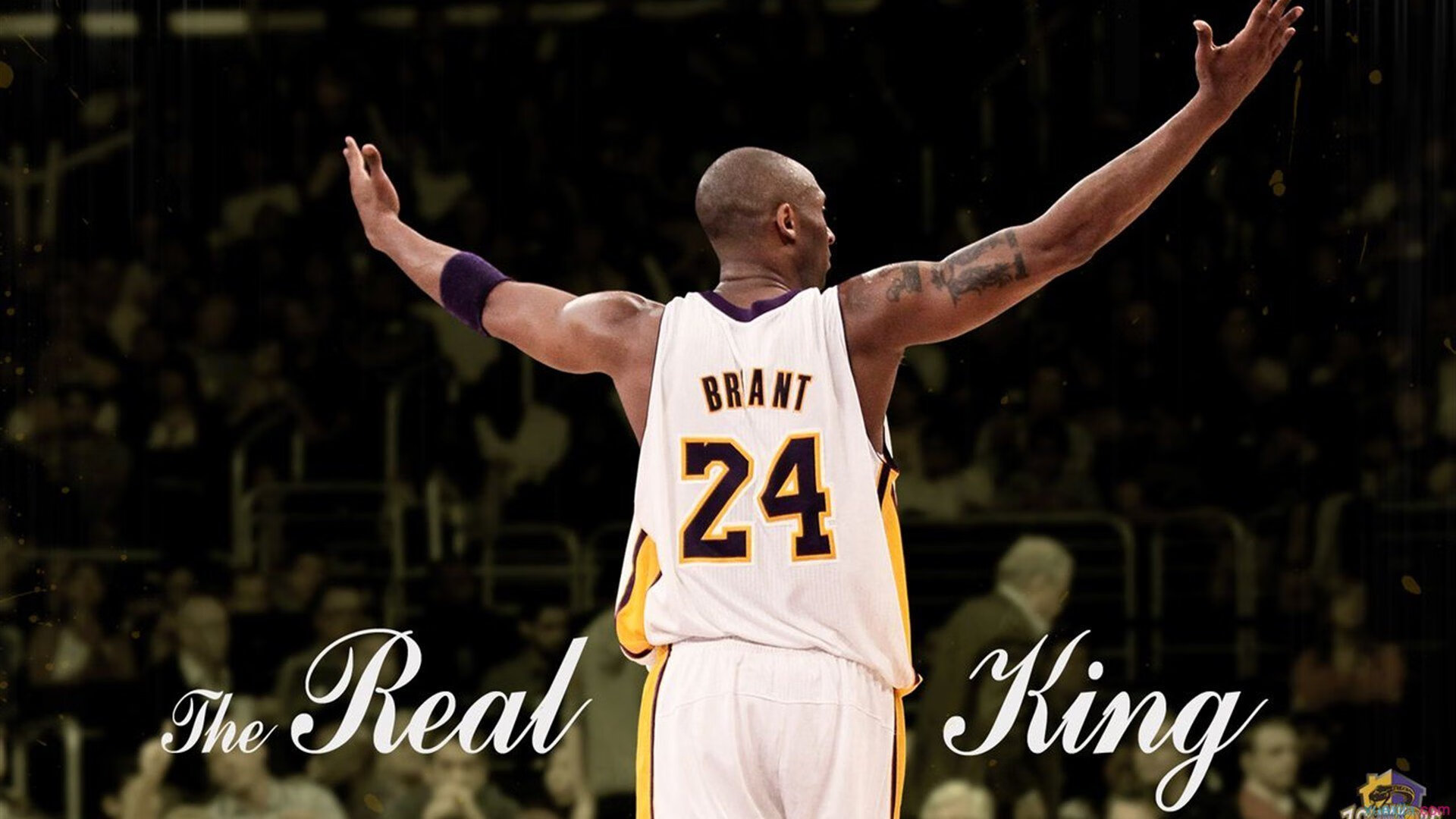 孤星与群狼，波尔如何扛起韩国队的夜空